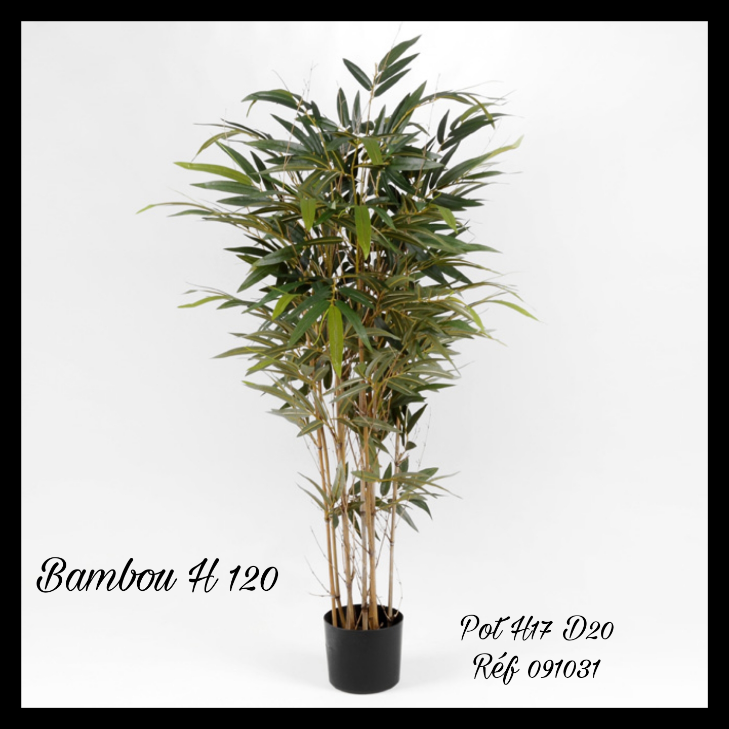 Bambou 091031 : Atelier 88, Créateur d'ambiance végétale et Florale  stabilisée et intemporelle