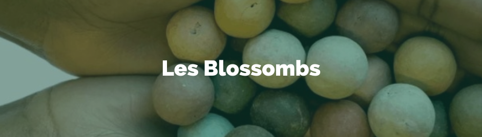 Les Blossombs